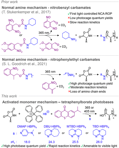 image file: d6py00091f-f1.tif
