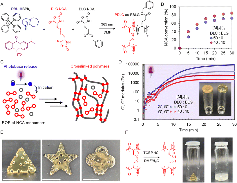 image file: d6py00091f-f4.tif