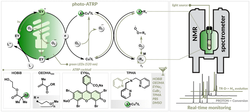 image file: d6py00103c-f1.tif