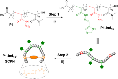 image file: d6py00112b-f2.tif