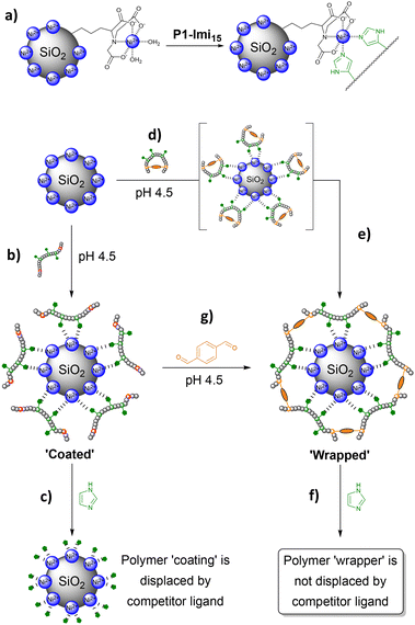 image file: d6py00112b-f4.tif