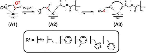 image file: d6py00118a-s2.tif