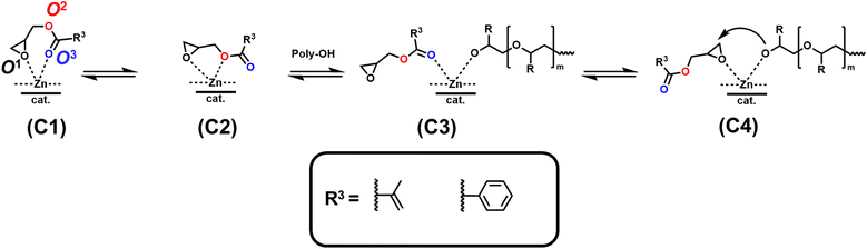 image file: d6py00118a-s4.tif