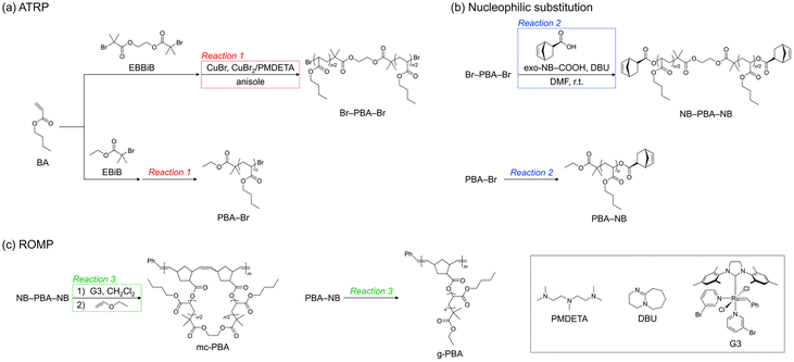 image file: d6py00144k-s1.tif