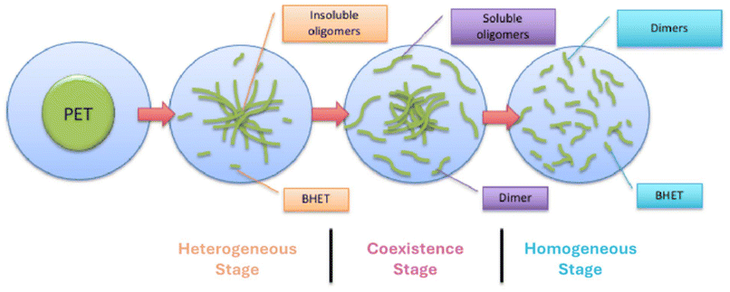 image file: d6py00219f-f1.tif