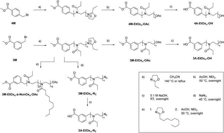 image file: d6py00309e-s1.tif