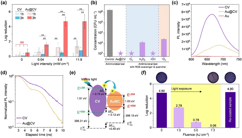 image file: d5qi02008e-f3.tif