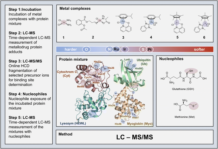 image file: d5qi02457a-s1.tif