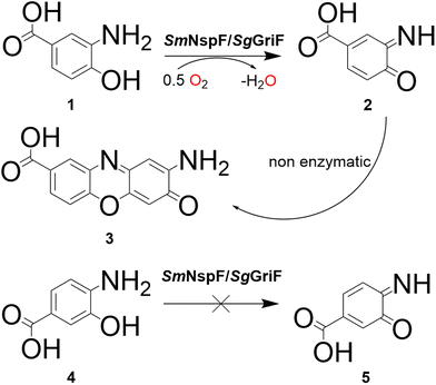 image file: d5qi02495a-f2.tif