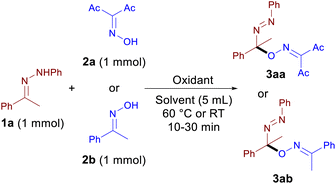 image file: d5qo01151e-u1.tif