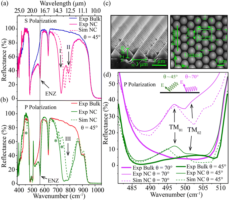 image file: d5ra06643c-f2.tif