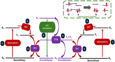 image file: d5ra07342a-f2.tif