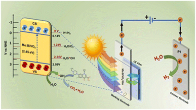 image file: d5ra07342a-f3.tif