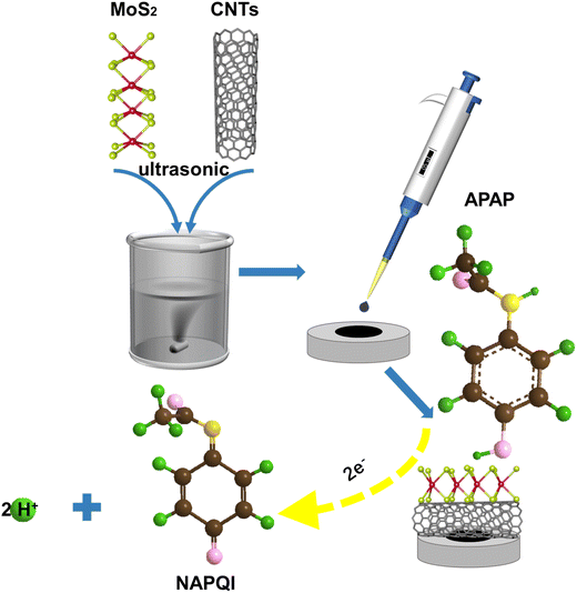 image file: d5ra07347b-s1.tif