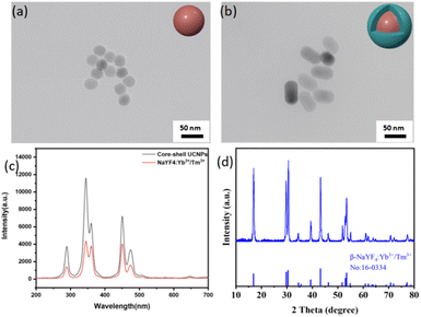 image file: d5ra07668d-f1.tif