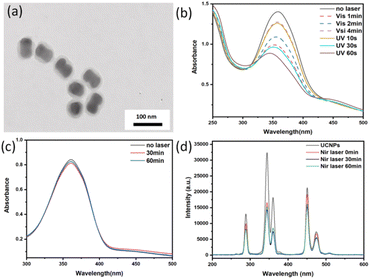 image file: d5ra07668d-f3.tif