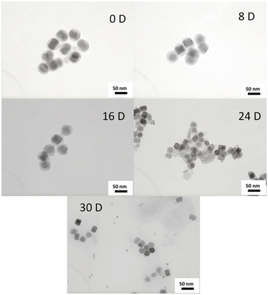 image file: d5ra07668d-f5.tif