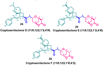image file: d5ra07728a-u4.tif