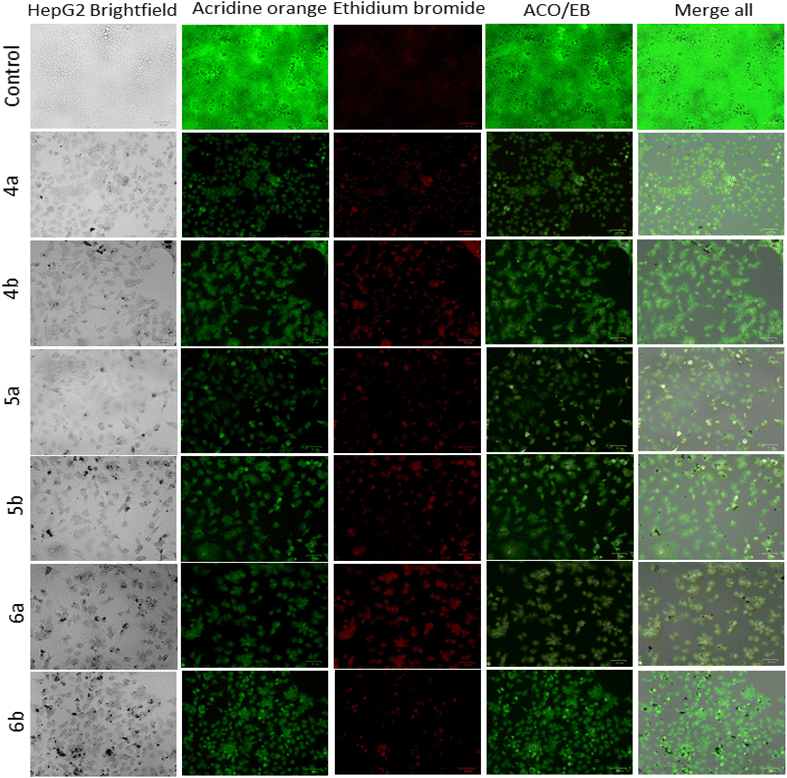 image file: d5ra07769a-f3.tif