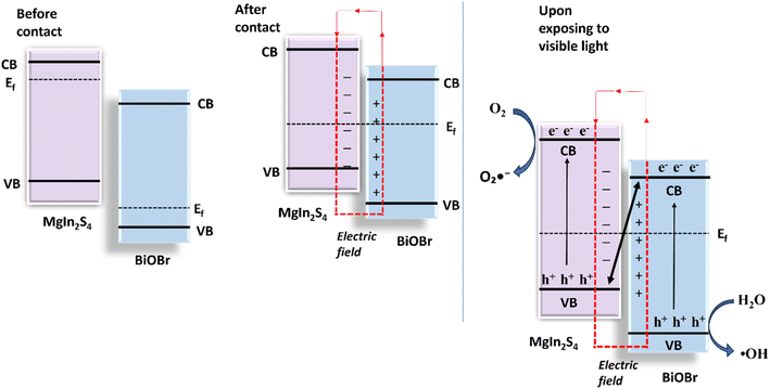 image file: d5ra07896b-s1.tif