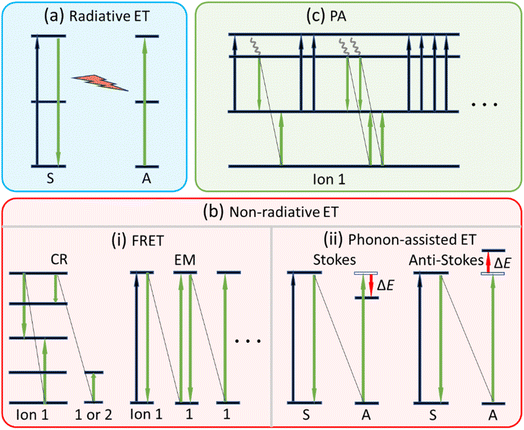 image file: d5ra07944f-f3.tif