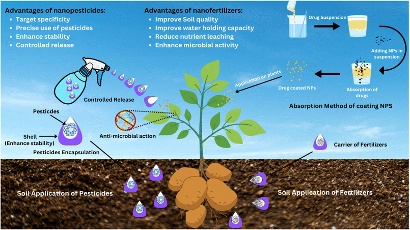 image file: d5ra07976d-f4.tif