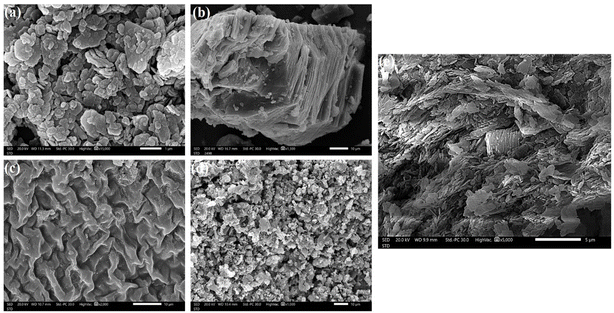 image file: d5ra08005c-f2.tif