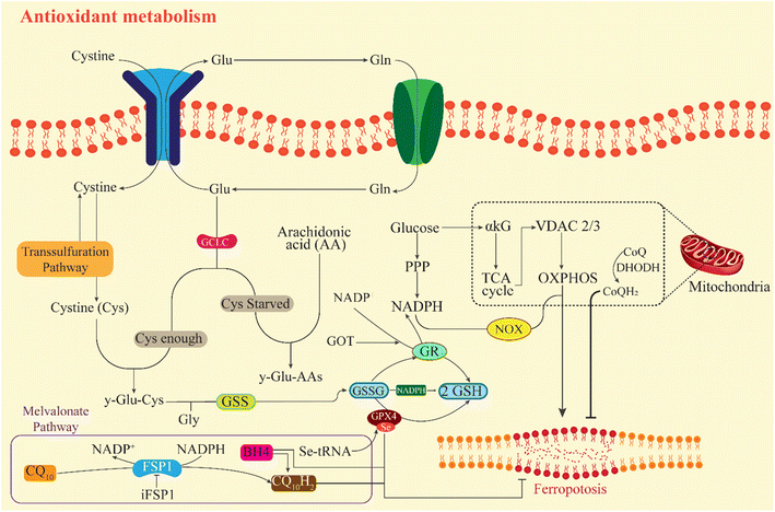 image file: d5ra08026f-f1.tif