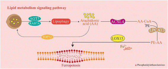 image file: d5ra08026f-f2.tif