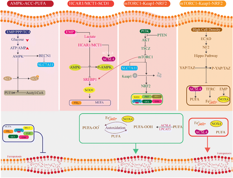 image file: d5ra08026f-f5.tif