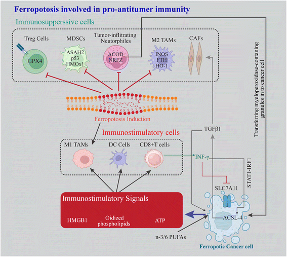 image file: d5ra08026f-f7.tif