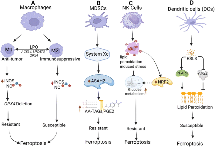 image file: d5ra08026f-f8.tif