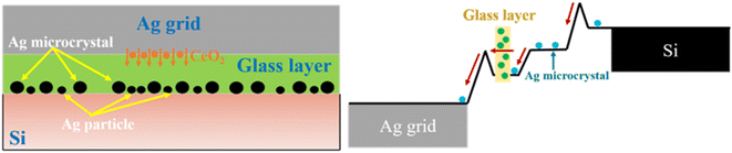 image file: d5ra08036c-f8.tif