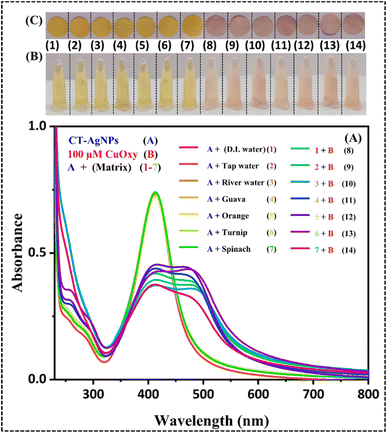 image file: d5ra08077k-f9.tif