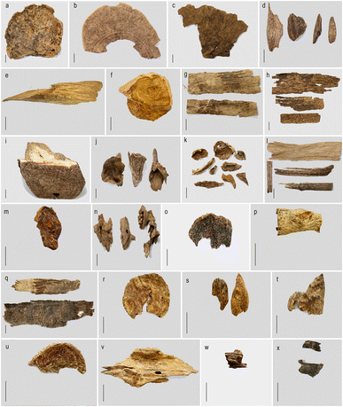 image file: d5ra08081a-f1.tif