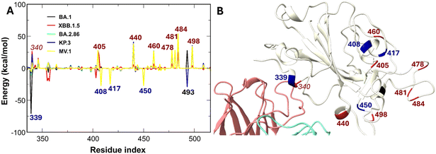 image file: d5ra08084c-f11.tif