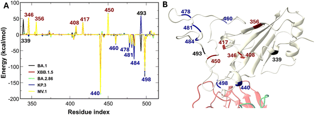 image file: d5ra08084c-f12.tif