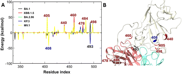 image file: d5ra08084c-f8.tif
