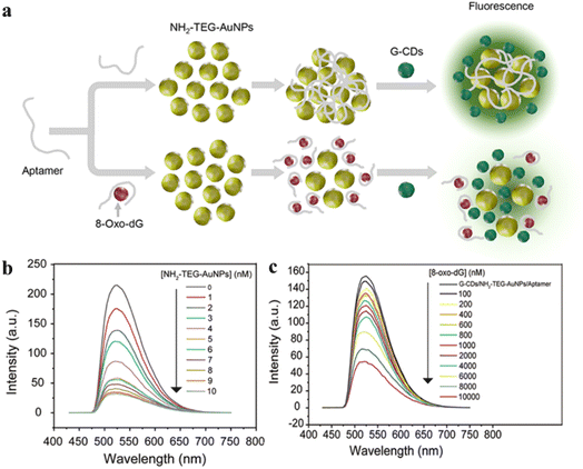image file: d5ra08089d-f14.tif