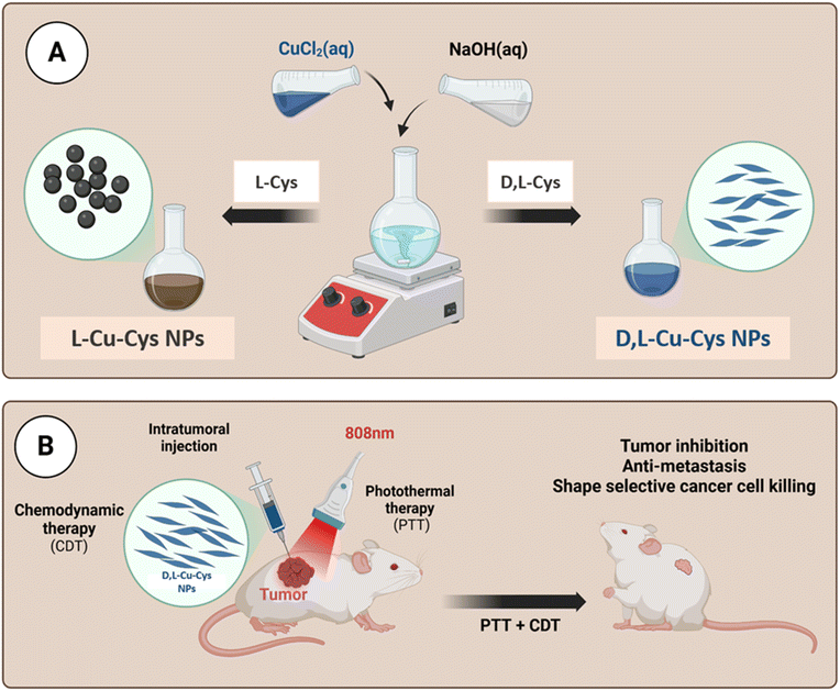 image file: d5ra08100a-s1.tif