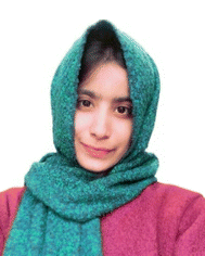 image file: d5ra08307a-p2.tif