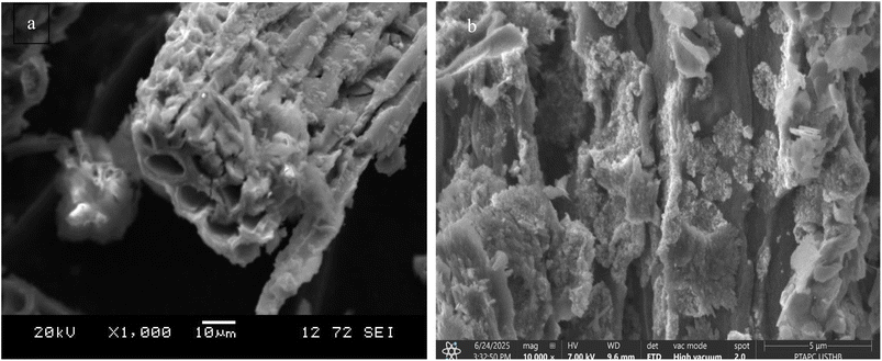 image file: d5ra08507a-f4.tif