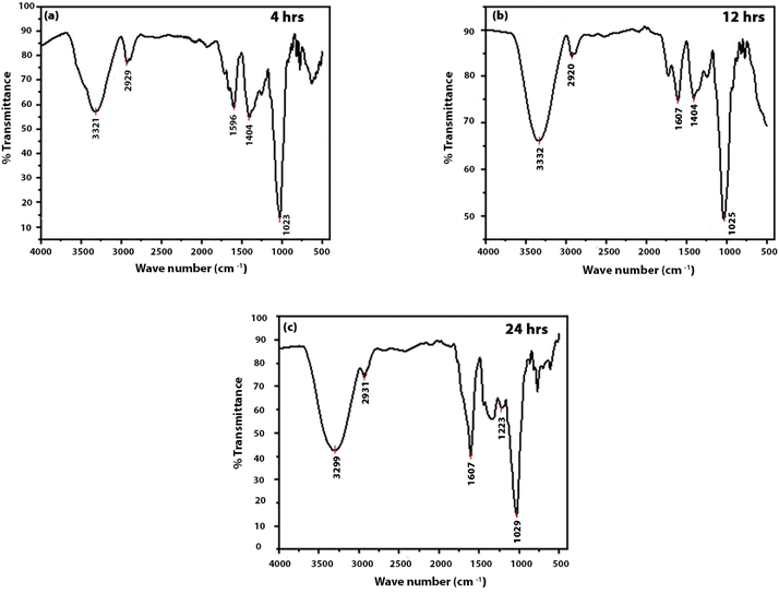 image file: d5ra08528d-f3.tif
