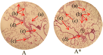 image file: d5ra08622a-u1.tif