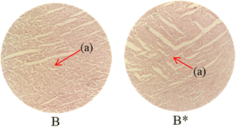 image file: d5ra08622a-u2.tif