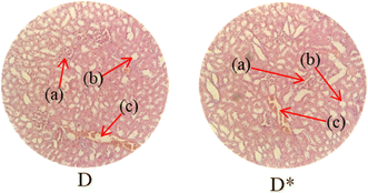 image file: d5ra08622a-u4.tif