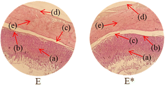 image file: d5ra08622a-u5.tif