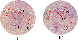 image file: d5ra08622a-u6.tif