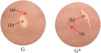 image file: d5ra08622a-u7.tif