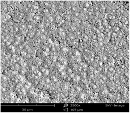 image file: d5ra08723f-u1.tif